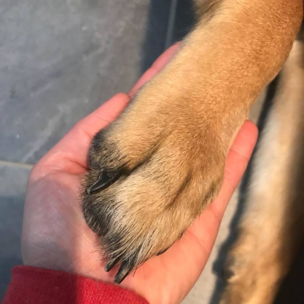 Meet your Posher, Nicole